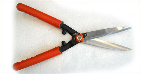 Hedge Shears