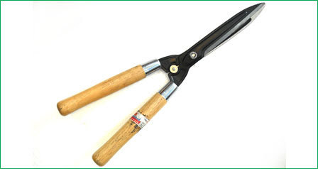 Hedge Shears