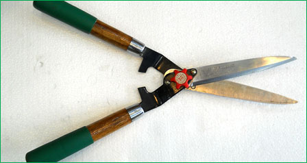 Hedge Shears