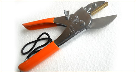 Pruning Shear Hunt