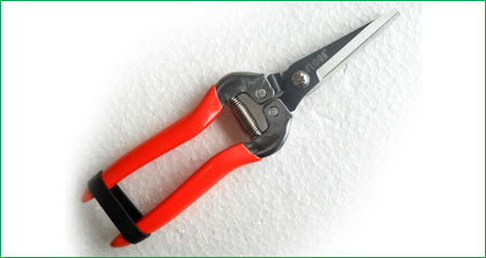 Prunning Shear Clipper