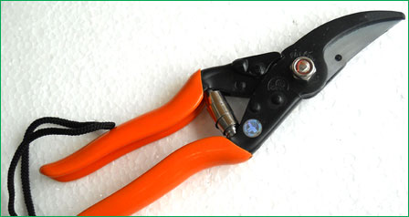 Prunning Shear Major Professional