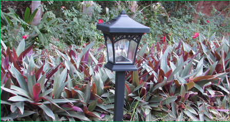 Garden Solar lights